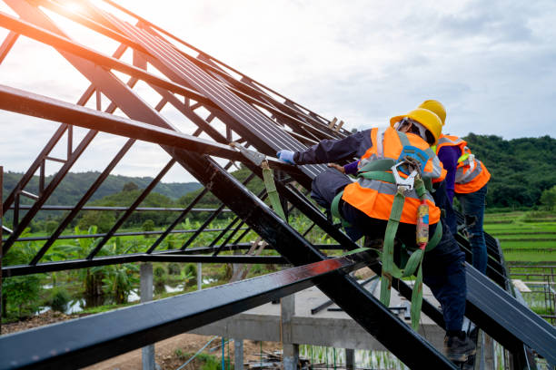 Best Roof Gutter Cleaning  in Dresser, WI