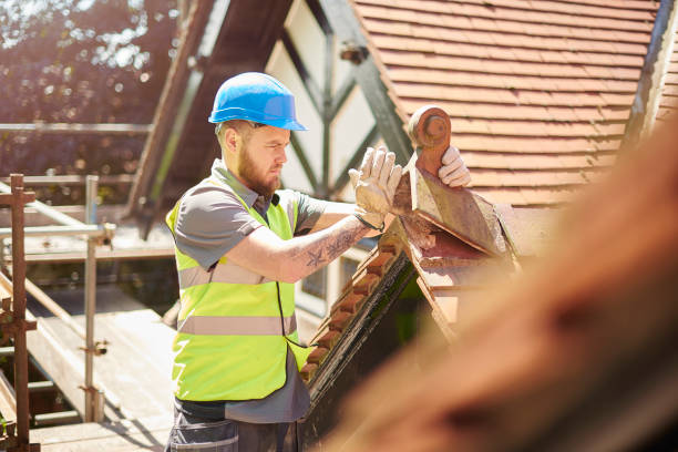 Best Local Roofing Companies  in Dresser, WI