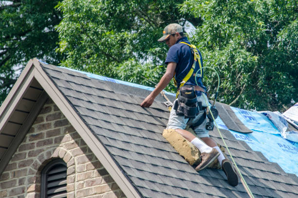 Best Shingle Roofing Installation  in Dresser, WI